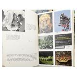 Group of 32 National Audubon Society Nature Programs & 7 Drawer Cases. ***Programs in Excellent Unused Condition***