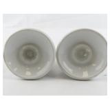 FAVOLINA-KAROLINA Pink Roses Salt & Pepper Shakers