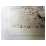 Group of 6 Military Photographs - World War I,
