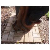 Bears on tree carving