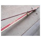 Vintage Skies with poles