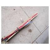 Vintage Skies with poles