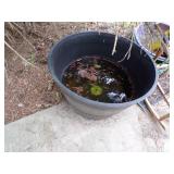 Garden Lot- See Picture