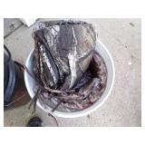 Pair of Hunting Pails w/ Gear