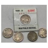 Lot of 5 Buffalo Nickels