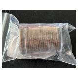 Arizona Grand Canyon Quarters in Capsule