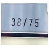 2022 Panini One Dameon Pierce RPA #d/75 - SGC 10