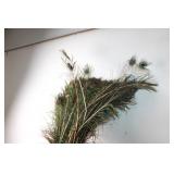 Bundle of Natural Peacock Feathers for Crafting and Decoration
