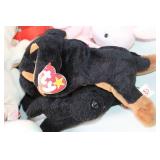 Collection of 50+ Beanie Babies and Collector