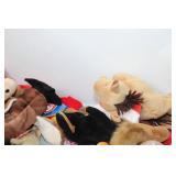 Collection of 50+ Beanie Babies and Collector