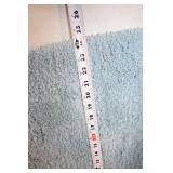 Light Blue Shag Area Rug, 64x25 Inches