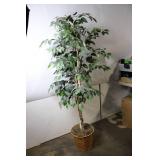 Tall Faux Ficus Tree in Woven Basket, 64 Inches
