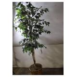 Tall Faux Ficus Tree in Woven Basket, 64 Inches