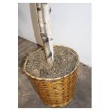 Tall Faux Ficus Tree in Woven Basket, 64 Inches