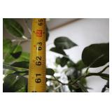 Tall Faux Ficus Tree in Woven Basket, 64 Inches