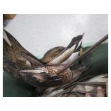 Tote of Duck Decoys