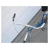 (2) Vintage Schwin Bikes