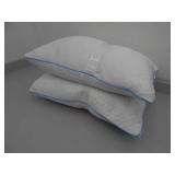 Pair Queen Standard Memory Foam Pillows