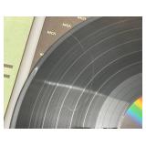 Vintage The Sting & The Wild Angels Albums