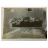 Antique Glass Funeral Negatives