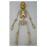 Vintage 24" Articulated Skeleton