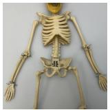 Vintage 24" Articulated Skeleton