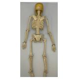 Vintage 24" Articulated Skeleton