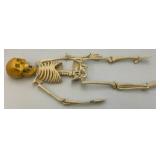 Vintage 24" Articulated Skeleton