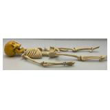 Vintage 24" Articulated Skeleton