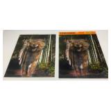 Misc. Vintage Halloween Collectibles, Décor And More