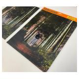 Misc. Vintage Halloween Collectibles, Décor And More