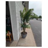 8’ PALM TREE