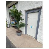 8’ PALM TREE