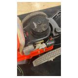 Ariens 6.0 HP Gas-Powered Walk-Behind Lawn Edger