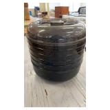 Electric Food Dehydrator with Multiple Trays