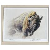 Bison Study Signed Limited Edition Print by Robert Bateman