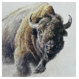 Bison Study Signed Limited Edition Print by Robert Bateman