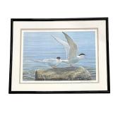 Framed Arctic Tern Pair by Robert Bateman