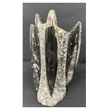 Orthocera Paleozoic Era Fossils