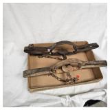 Pair of Victor Wolf Traps and Coleman Lamp