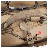 Pair of Victor Wolf Traps and Coleman Lamp
