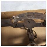 Pair of Victor Wolf Traps and Coleman Lamp