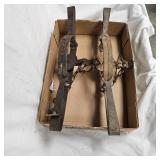 Pair of Victor Wolf Traps and Coleman Lamp