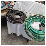 Garden Hose and Sprinkler