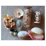 Seashell Lot