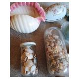 Seashell Lot