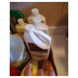 Cleaning Lot: Wood Polish, Silver Care, Etc