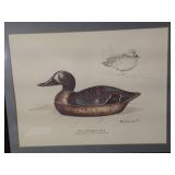 Duck Themed Wall Art