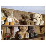 Teddy Bear Lot