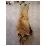 Fox Stole